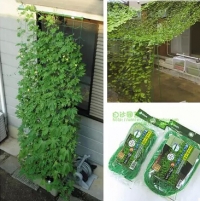 0.8*1.8m.3pcs/lot,Climbing net climbing plants grow net.garden supplies.Fruits and vines Climbing